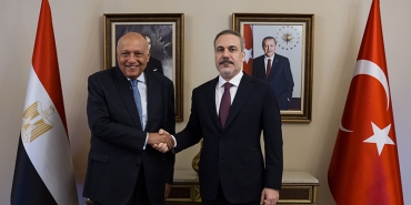 misir-fidan