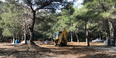 phaselis