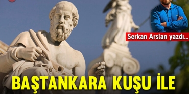 platonkap