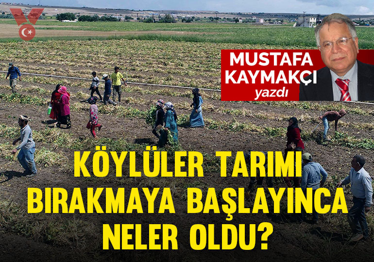 Köylüler tarımı bırakmaya başlayınca neler oldu?