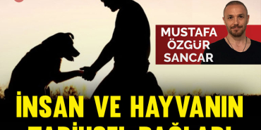 sancar-kap