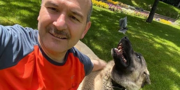 soylu