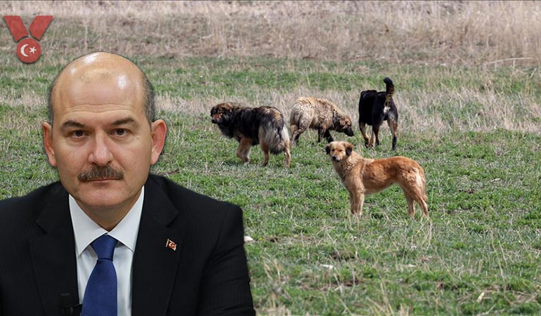 Süleyman Soylu, sokak köpeklerinin uyutulmasına karşı çıktı mı?