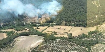 İzmir'de orman yangını