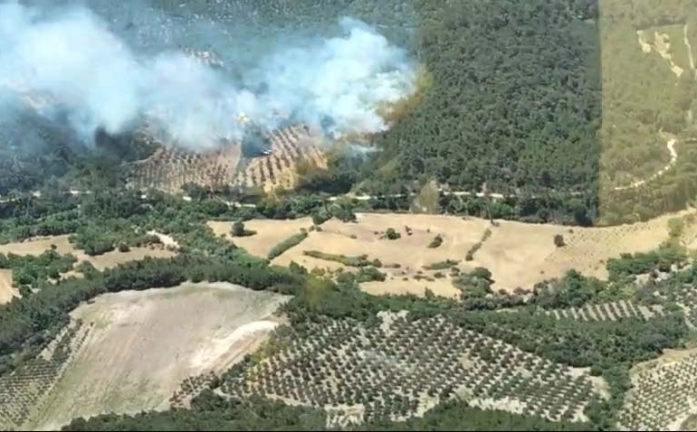 İzmir'de orman yangını
