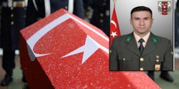 MEHMETALİHOROZ