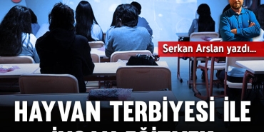 hayvankapak