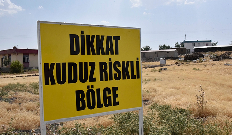 Mahalleye kuduz karantinası