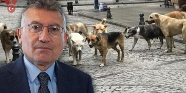 sokakhayvanlari-akp