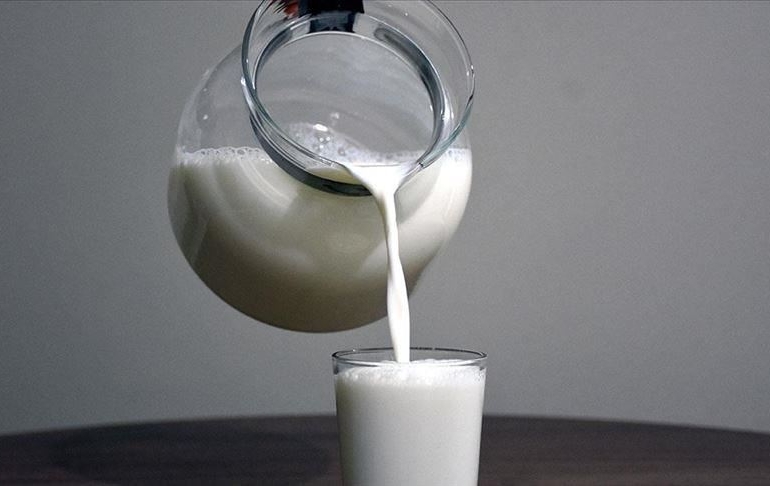 Türkiye’nin dev süt markası iflas etti