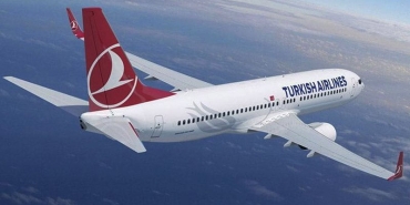 thy-2