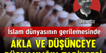 filiz-kapak