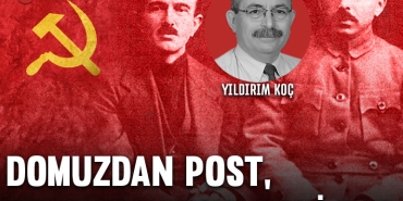 koc-domuzdanpost