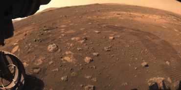 marsone