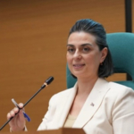sinem-dedetas2