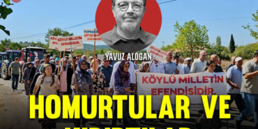 Alogan-kapak