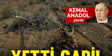 anadol-kap