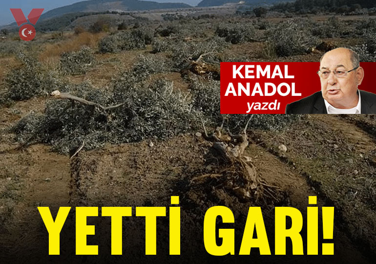 Yetti gari!