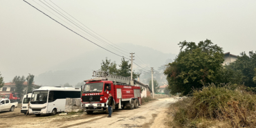 bolu