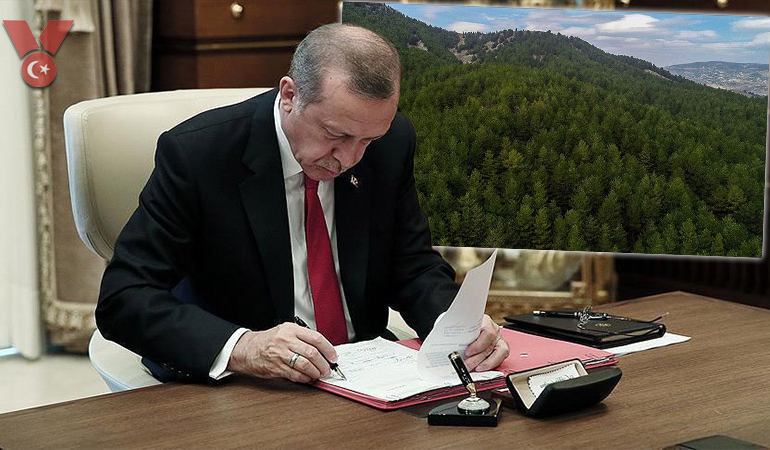erdogan-imza-orman2