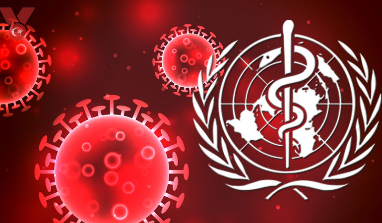 Maymun çiçeği virüsü (Mpox) nedir? Nasıl bulaşır? İlk belirtileri nelerdir? Tedavi edilebilir mi?