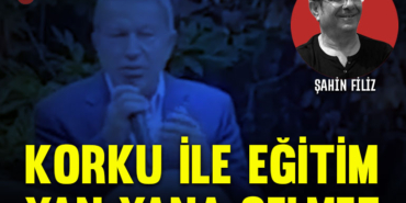 akar-filiz