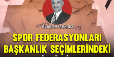 karanfil-kapak