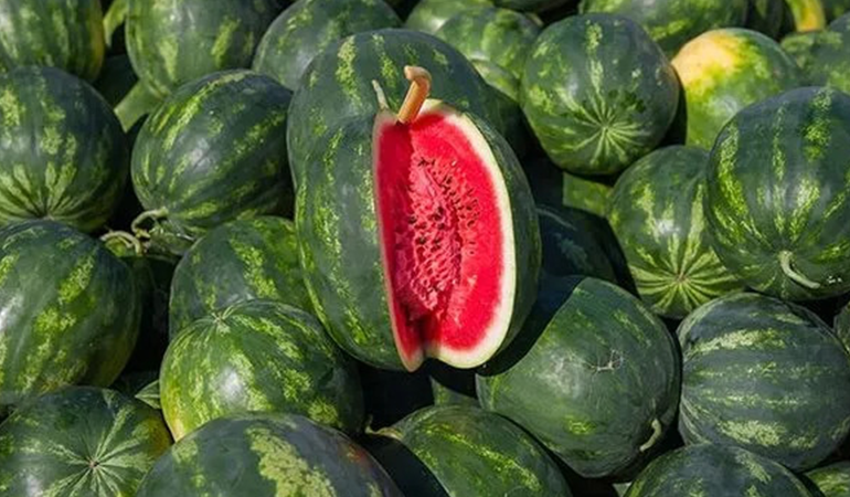 İyi karpuz nasıl seçilir?