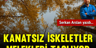 serkan-kapak