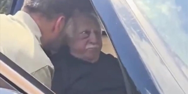 fetos