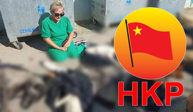 Gebze’deki hayvan katliamı… HKP’den suç duyurusu ve yurttaşlara çağrı