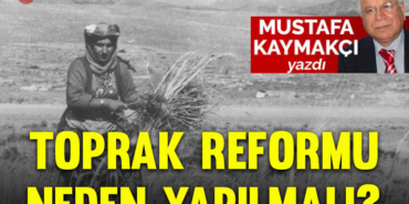 kaymakcirevize