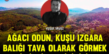 yusuf-kapak