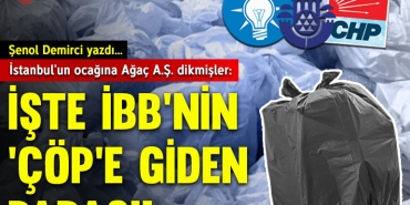 demircikap