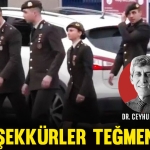 c-balci-tegmen