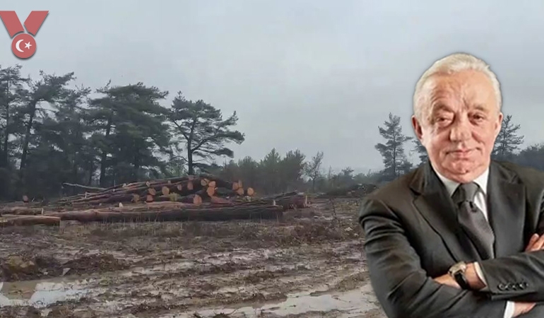 Cengiz, mahkeme kararını da dinlemedi: Kazdağları’nda ağaç katliamı sürüyor!