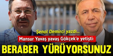 demircikap