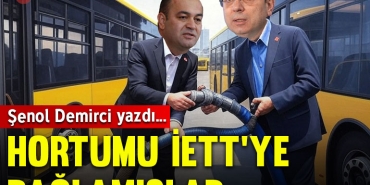 demircikap