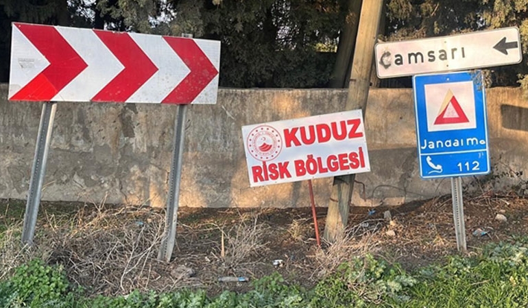 Hatay’da kuduz alarmı: Sahipli köpek 2 kişiyi ısırdı, mahalle karantinaya alındı