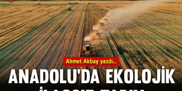 ahmetkapak
