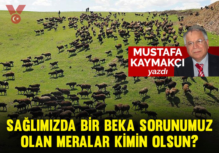 Sağlığımızda bir beka sorunumuz olan meralar kimin olsun?