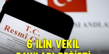 vekil-kapak