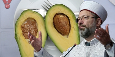 ali-erbas-avokado
