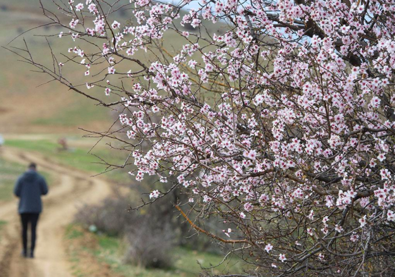 Meteoroloji bugünkü hava durumu raporunu açıkladı: Hem kar, hem bahar…