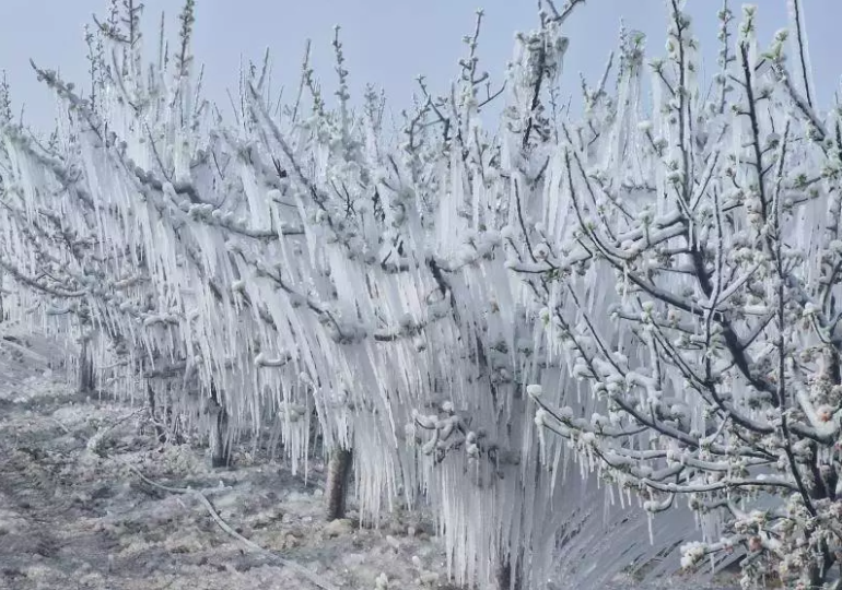 Sıcaklıklar artarken… Meteoroloji’den o bölgeler için kar, buzlanma ve don uyarısı geldi