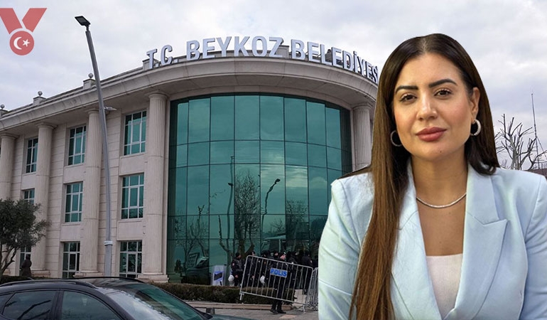 beykoz-fidan-gul