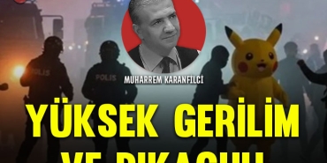 karanfil-kapak