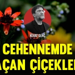 nihatkapak