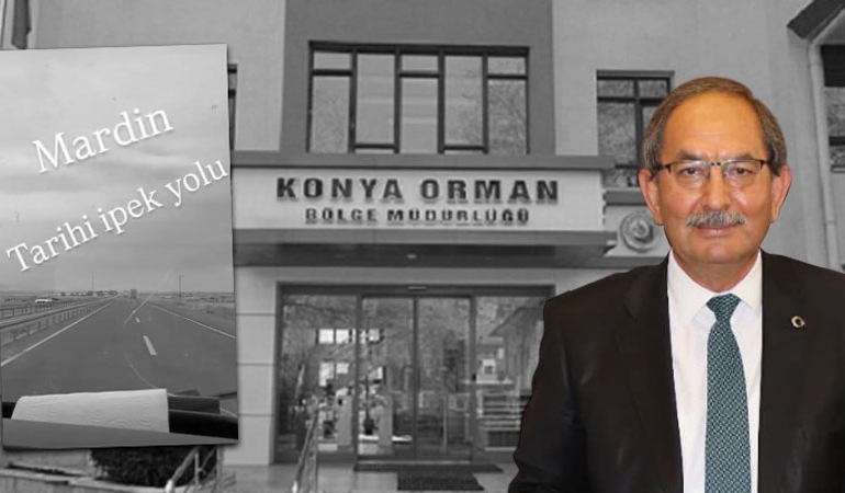 Veryansın Tv devlet aracıyla ailece geziye gittiklerini duyurmuştu: Konya Orman Bölge Müdürü haberi kabul etti