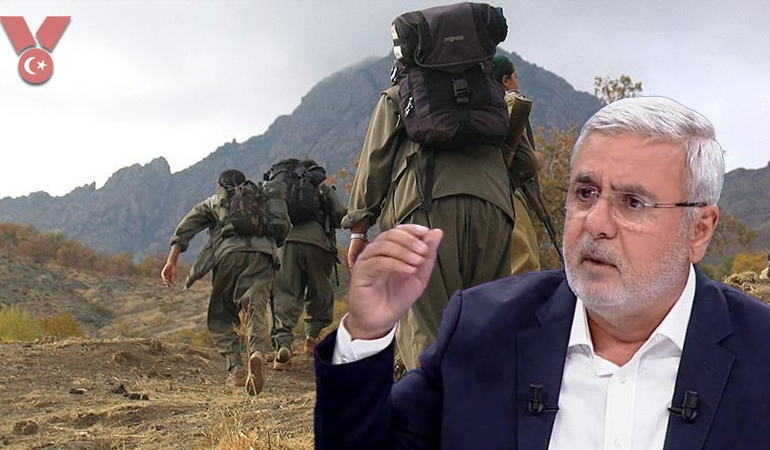 AKP’li Mehmet Metiner: PKK, Türkiye’nin gücüne dönüştürülmelidir